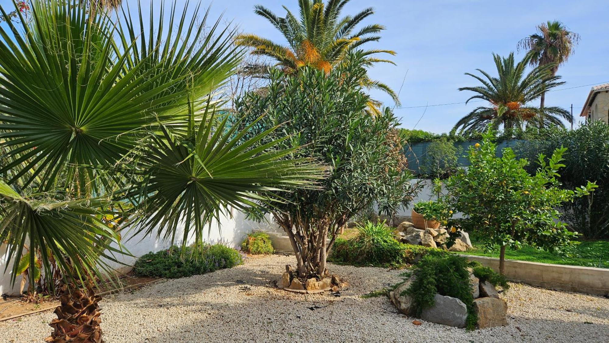 Altomira Villa Denia Eksteriør bilde