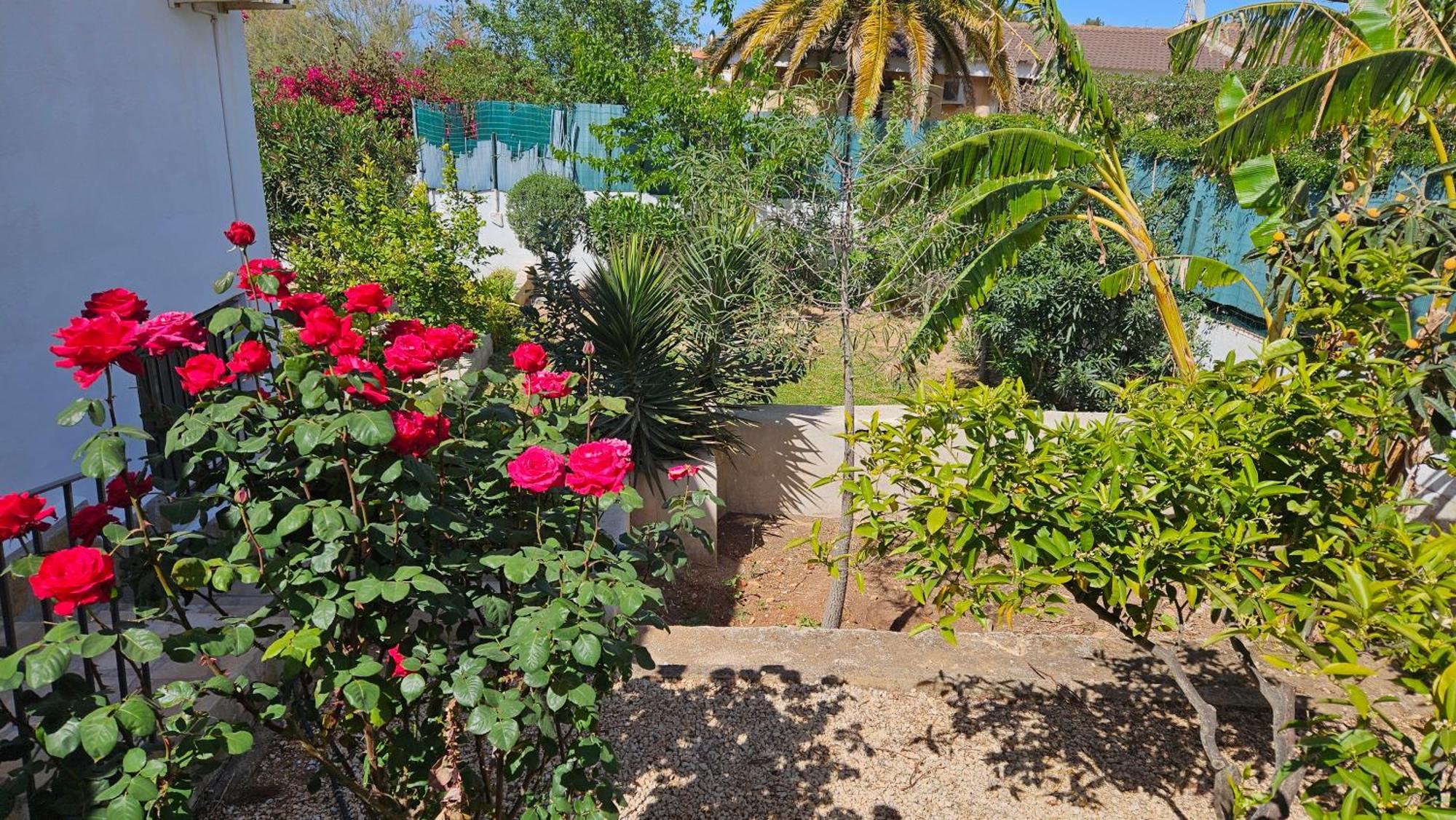 Altomira Villa Denia Eksteriør bilde
