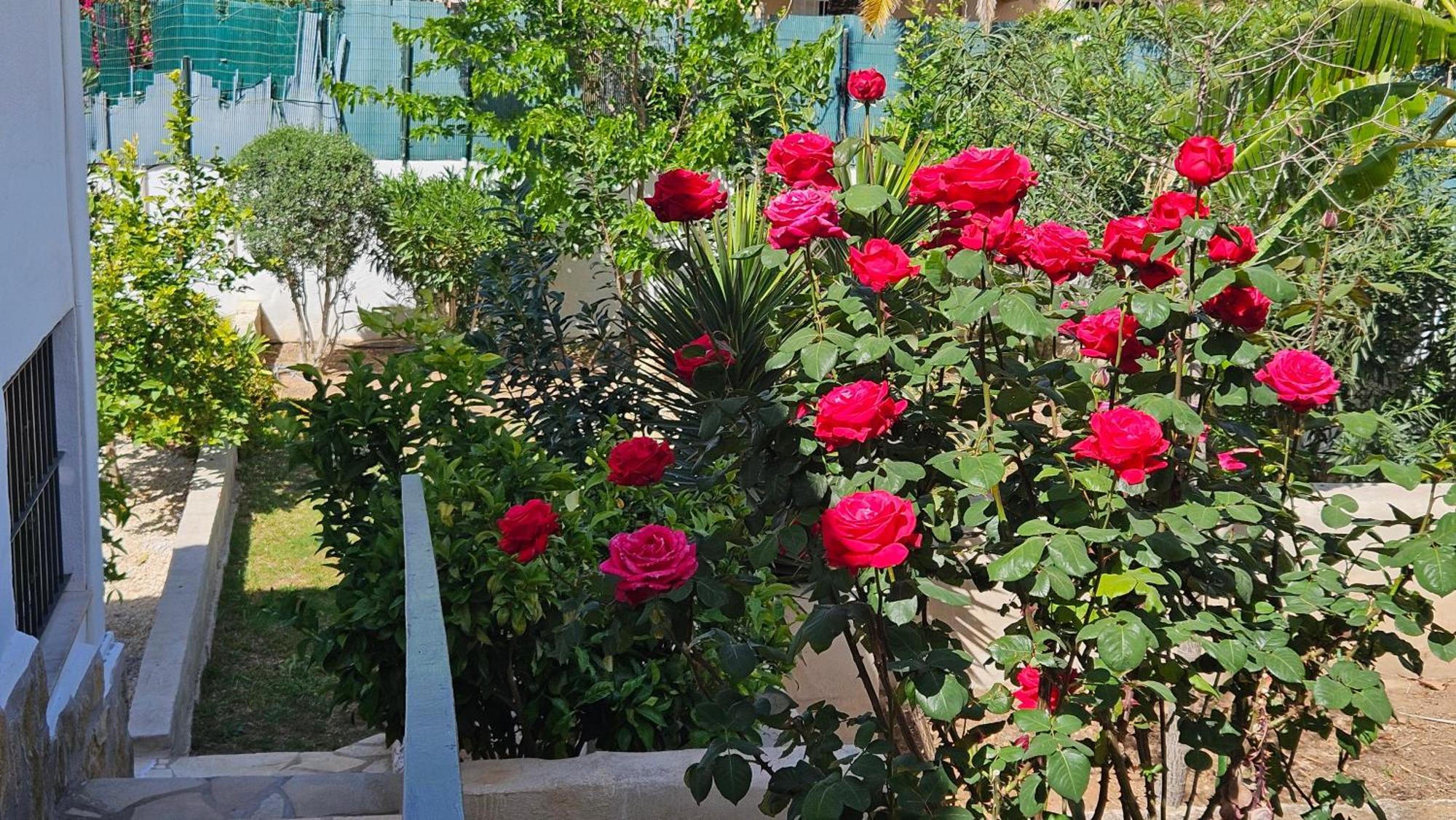 Altomira Villa Denia Eksteriør bilde
