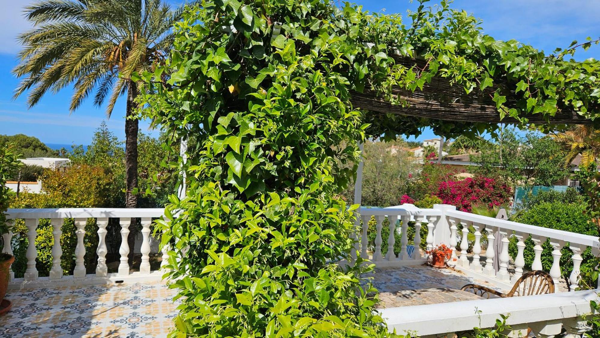 Altomira Villa Denia Eksteriør bilde